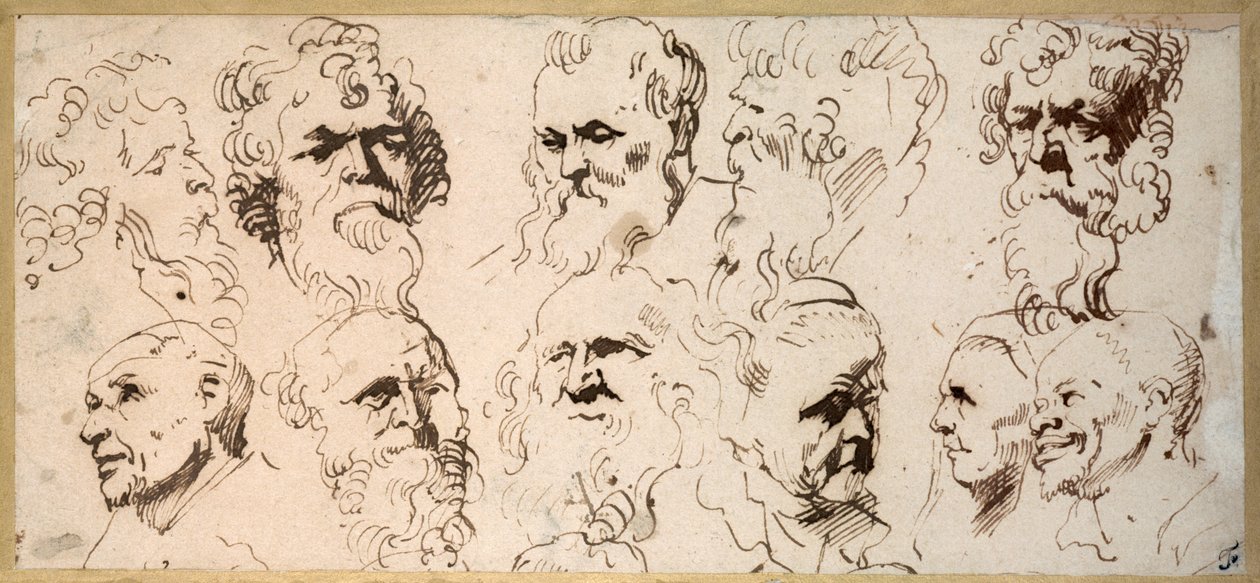 Jedenáct studií hlavy (pero a hnědý inkoust na papíře) od Anthony van Dyck