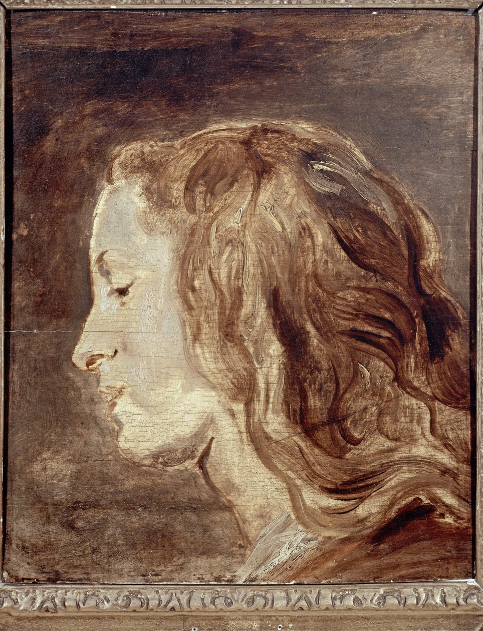 Head Study, první polovina 17. století (olej na palubě) od Anthony van Dyck