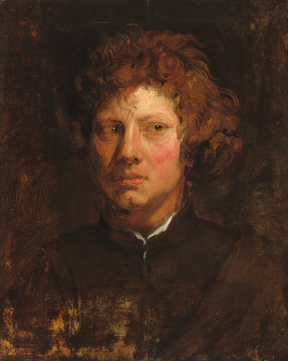 Hlava mladého muže, c. 16171618. od Anthony van Dyck