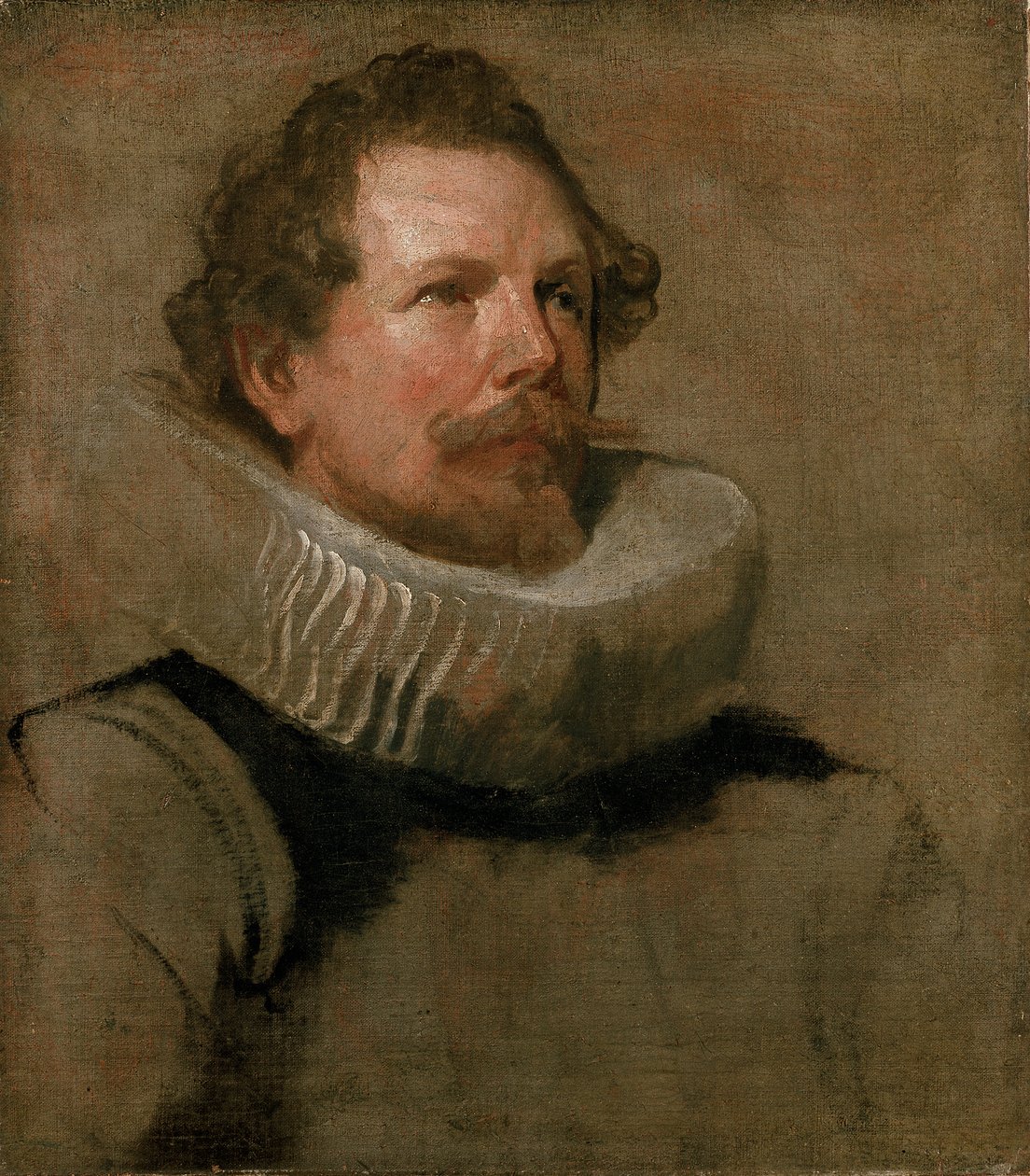 Hlava vousatého muže s Wheel Ruff, 17. století od Anthony van Dyck