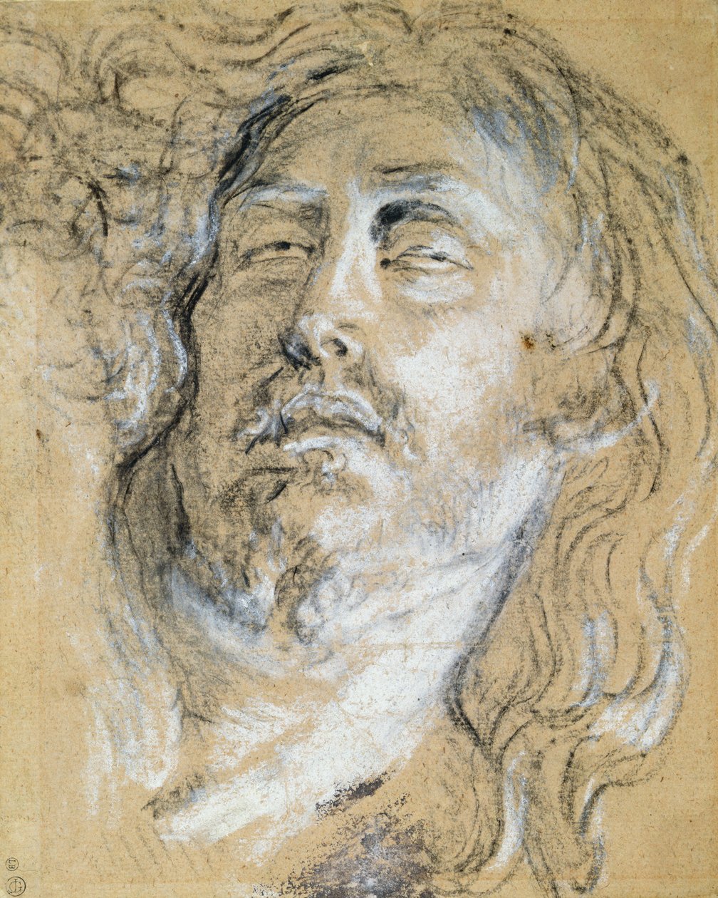 Hlava mrtvého Krista (uhl a křída na papíře) od Anthony van Dyck