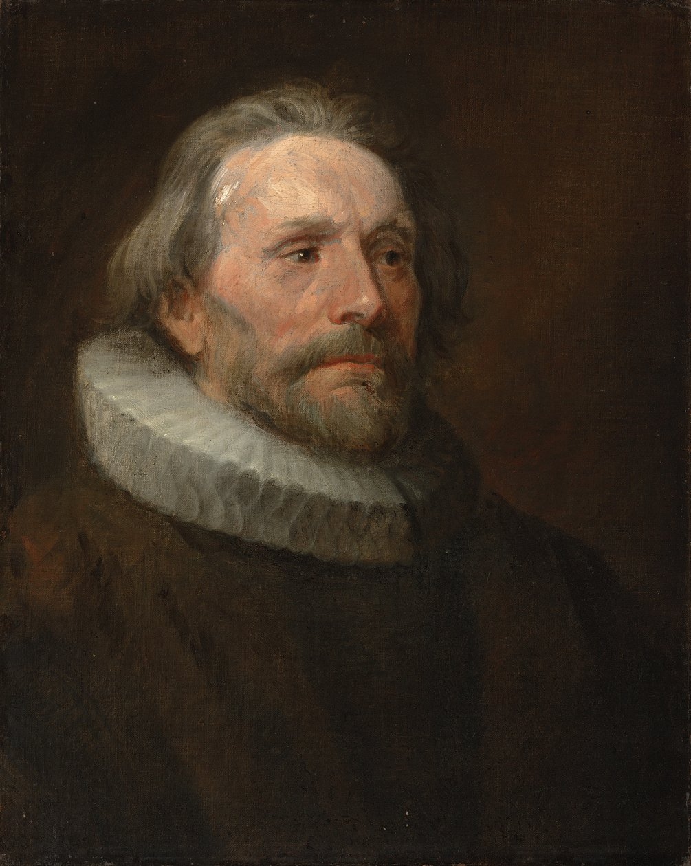 Studie hlavy muže v rukávu od Anthony van Dyck