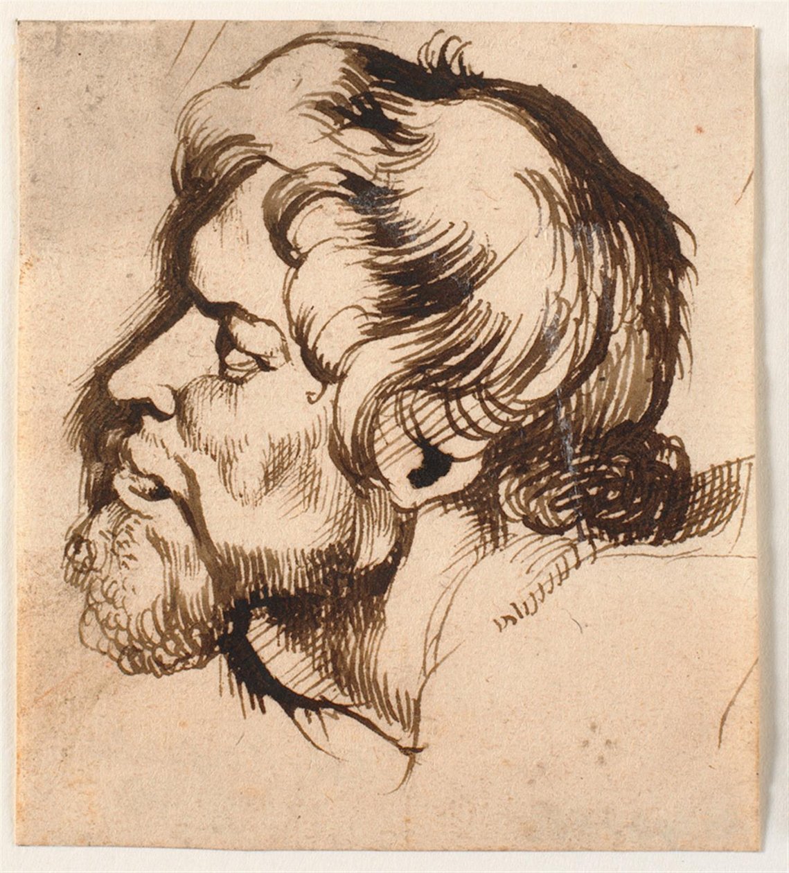 Hlava muže od Anthony van Dyck
