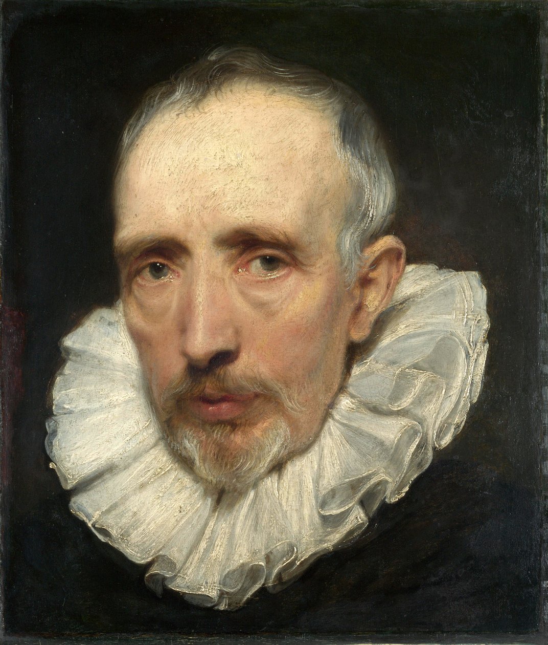 Portrét Cornelise van der Geesta od Anthony van Dyck