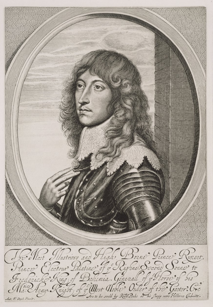 Portrét prince Ruperta (1619-82) hraběte Palatina z Rýna a vévody bavorského, vyryl William Faithorne (1616-91) od Anthony van Dyck