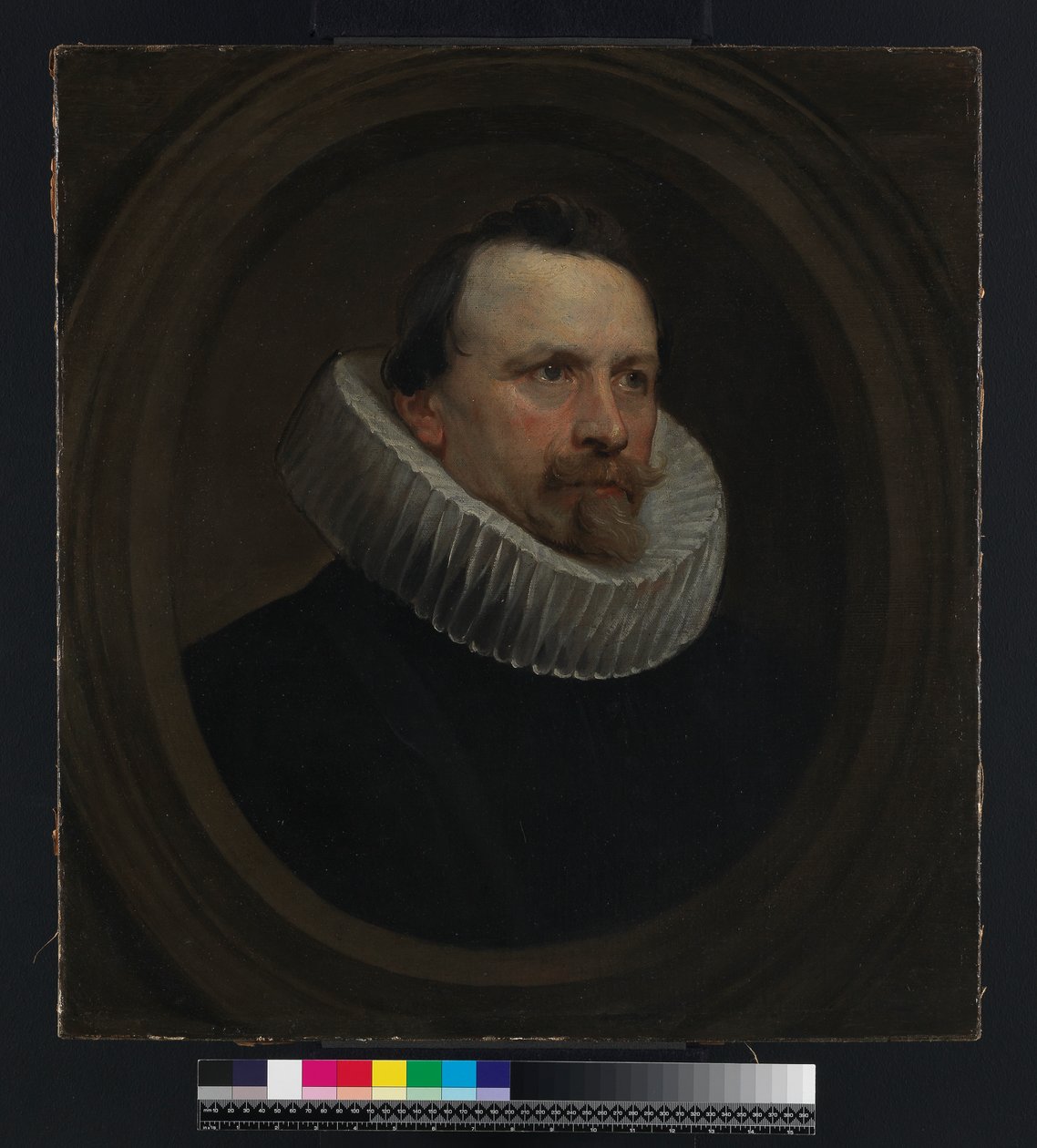 Portrét muže, 1630 od Anthony van Dyck