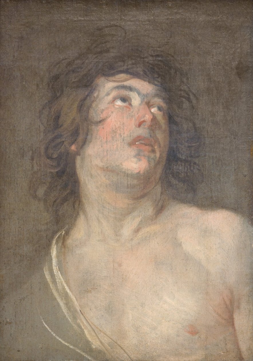 Studijní hlava mladého muže, který se dívá nahoru. Svatý Sebastian od Anthony van Dyck
