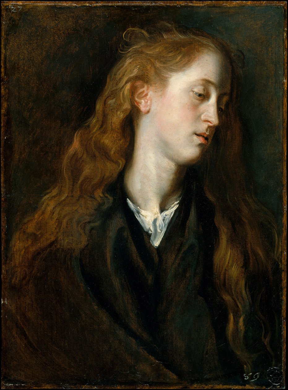 Studie hlavy mladé ženy od Anthony van Dyck