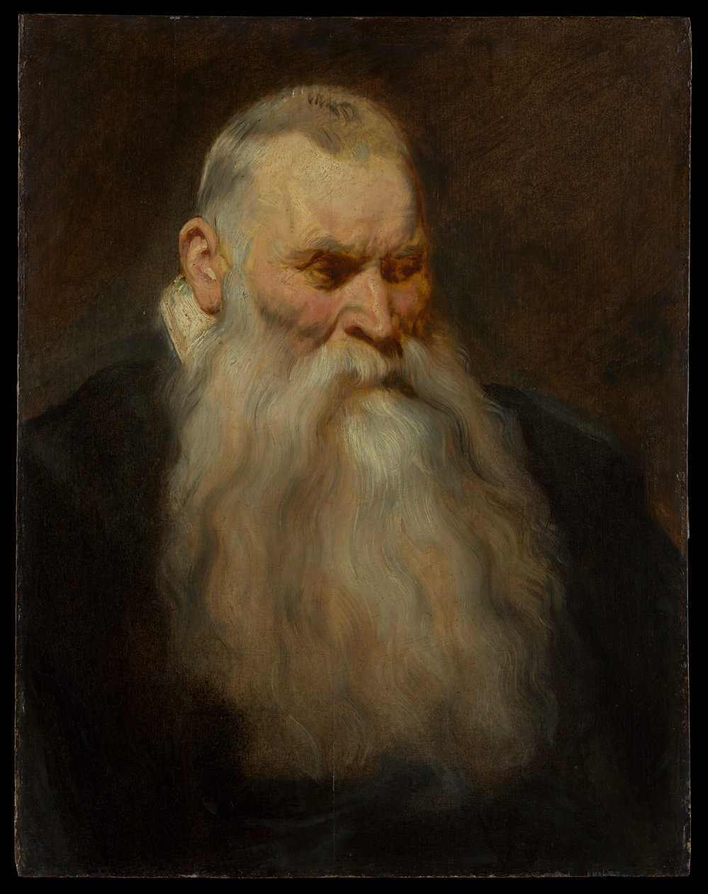 Studie hlavy starého muže s bílým plnovousem od Anthony van Dyck