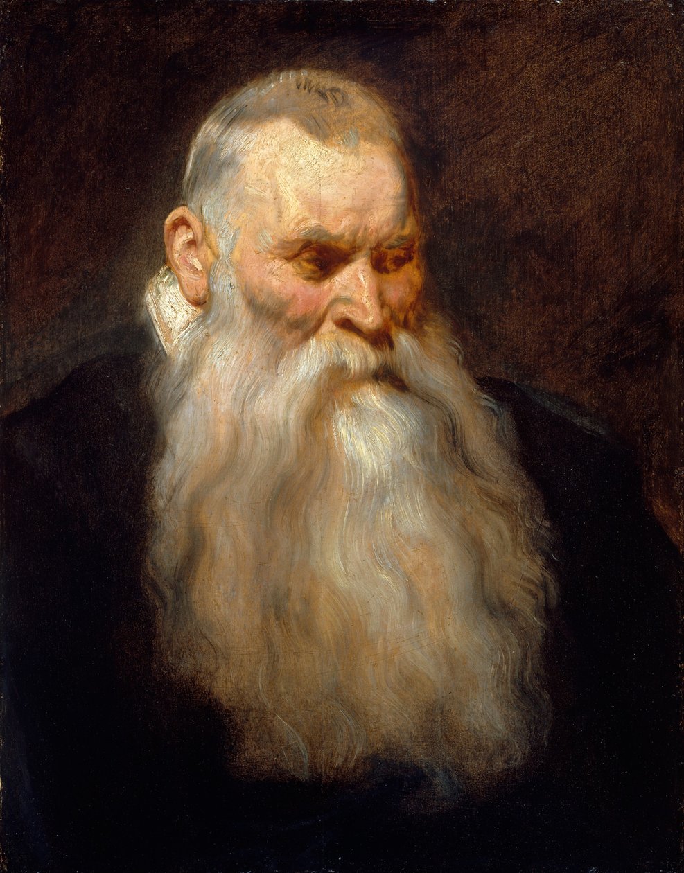 Studijní hlava starého muže s bílým plnovousem, ca. 1617-20. od Anthony van Dyck
