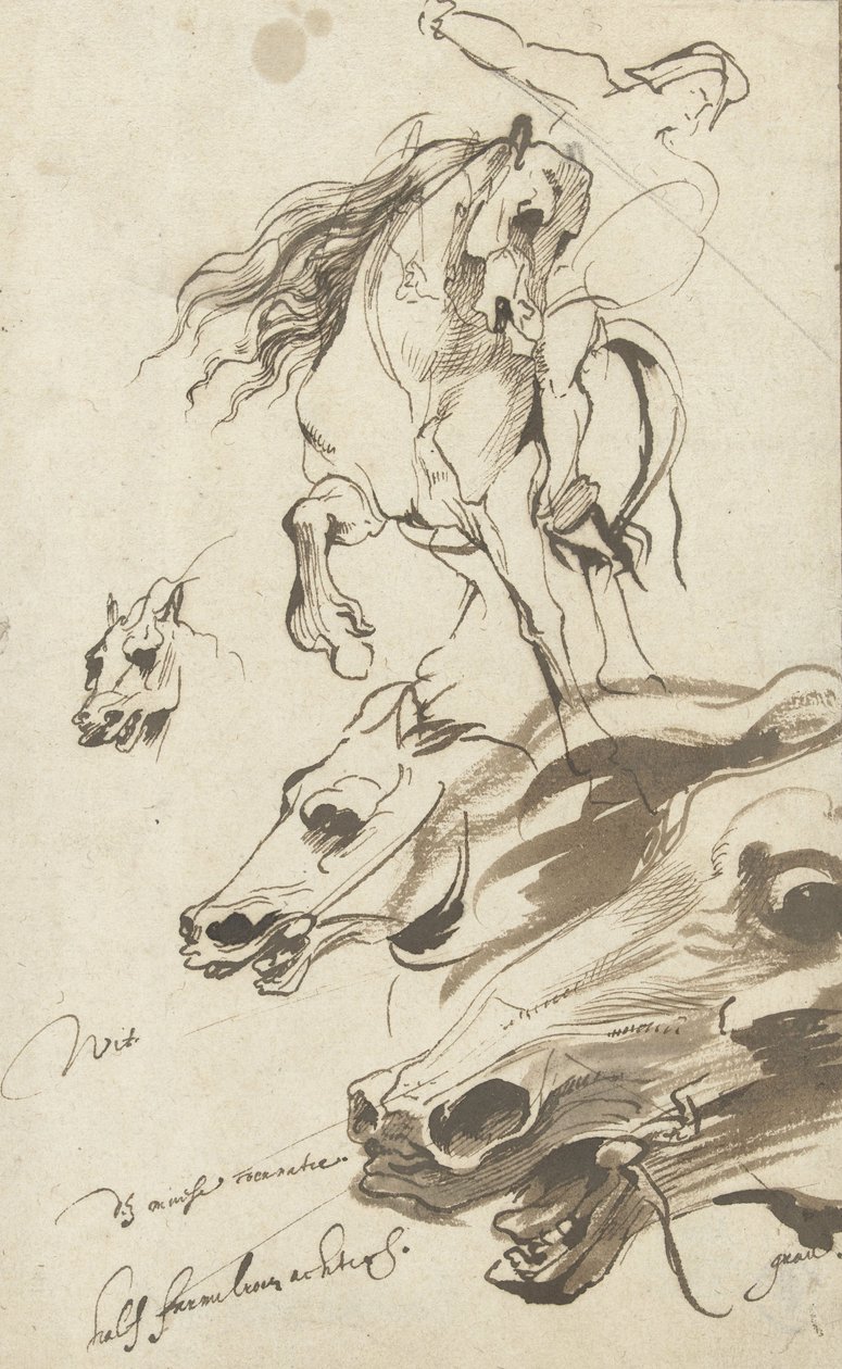 Studie jezdce a hlavy koně, 1620-1 (pero a čb na papíře) od Anthony van Dyck