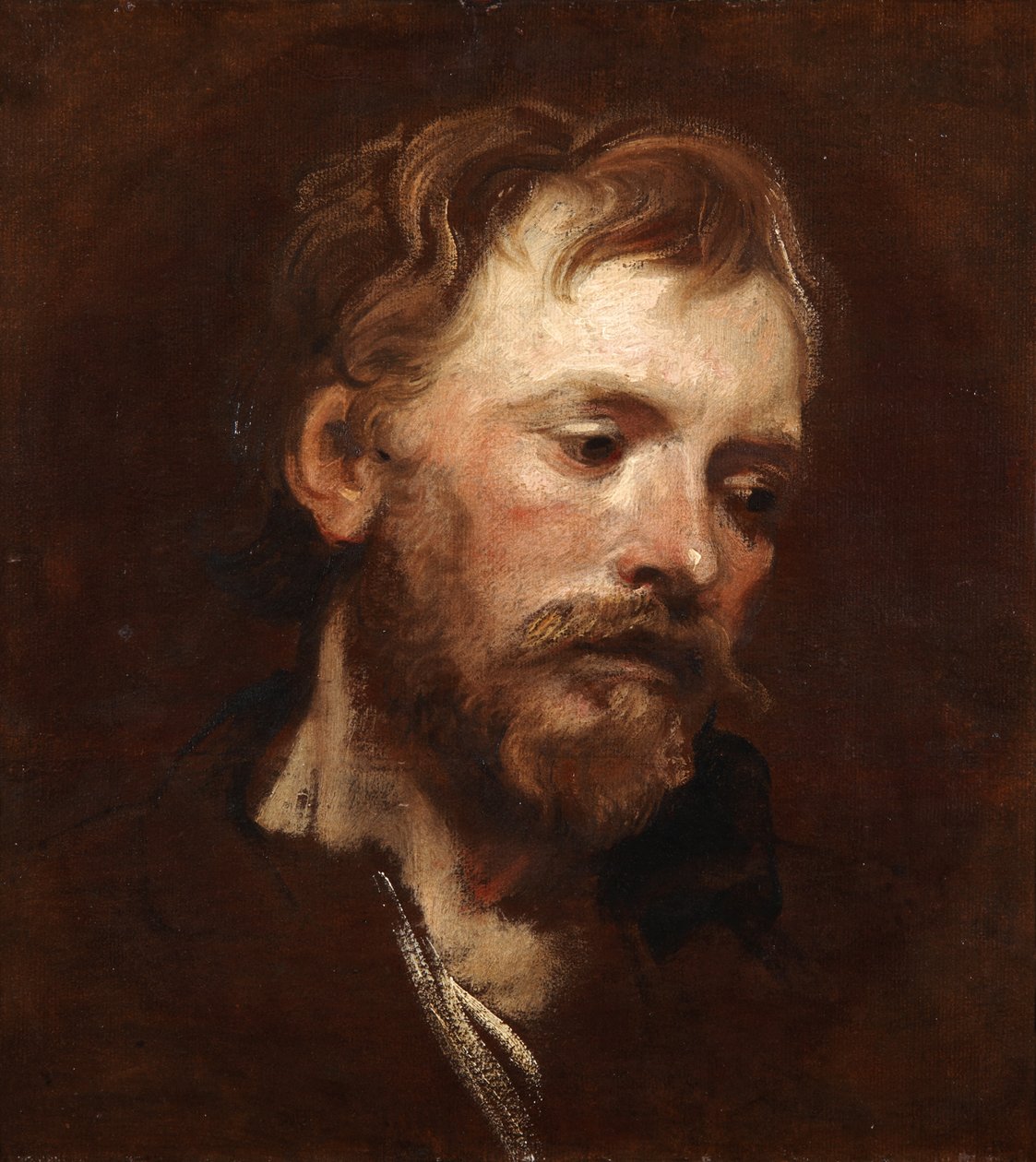 Studie mladého vousatého muže od Anthony van Dyck
