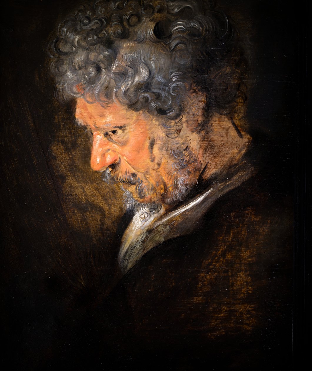 Studie hlavy starého muže: levý profil (detail) od Anthony van Dyck
