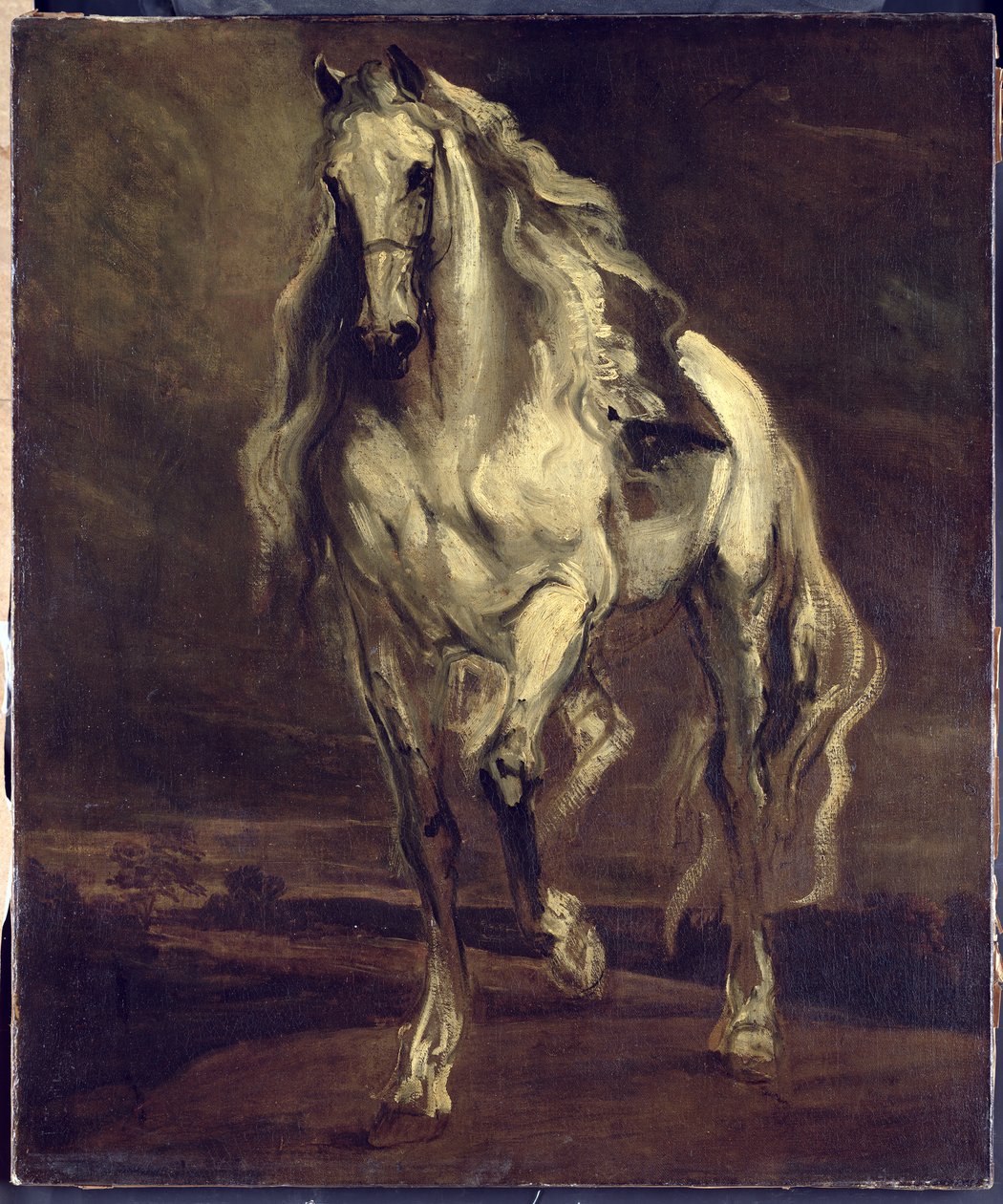 Neznámý obrázek od Anthony van Dyck