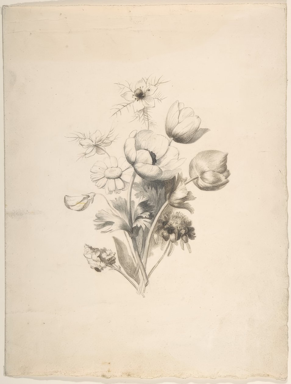květinový design od Antoine Berjon