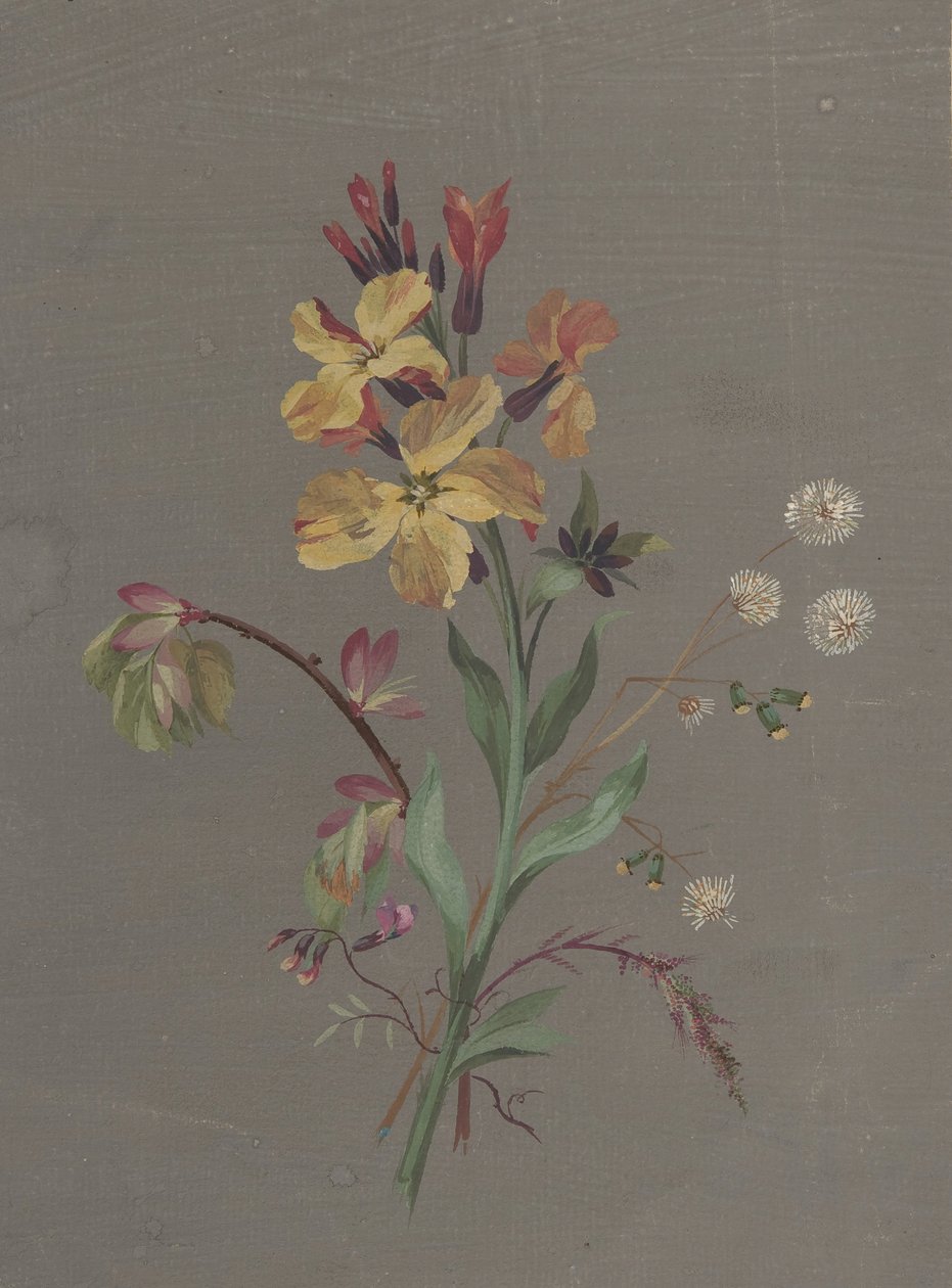 Květinový design, ca. 1820. od Antoine Berjon