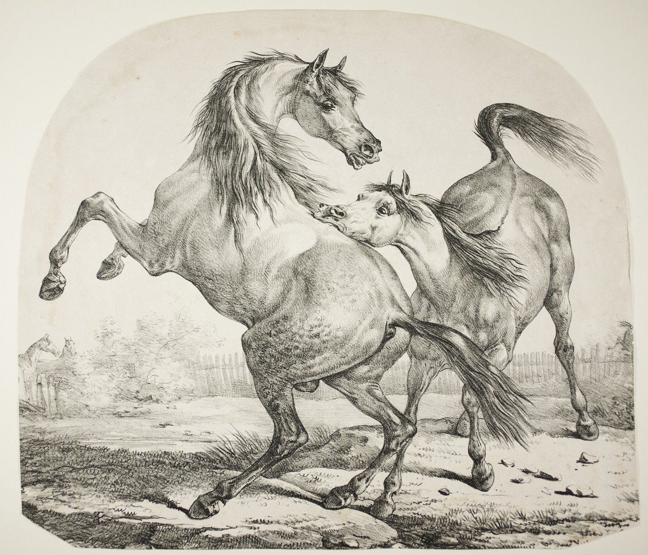 Boj divokých koní, kolem roku 1820 od Antoine Charles Horace Vernet