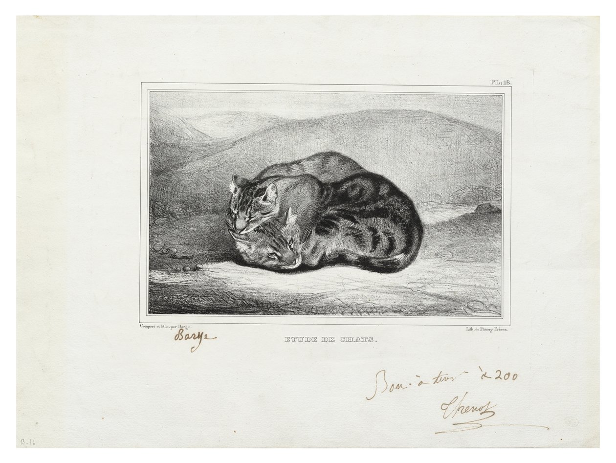 studium koček od Antoine Louis Barye