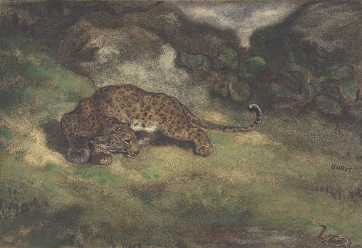 Leopard a had, 1810-75 (wc na položený papír) od Antoine Louis Barye