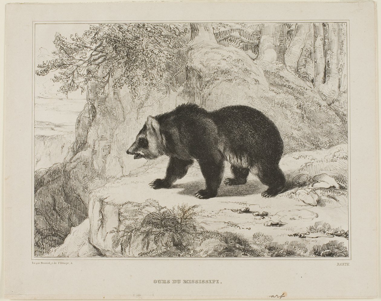 Mississippi medvěd od Antoine Louis Barye
