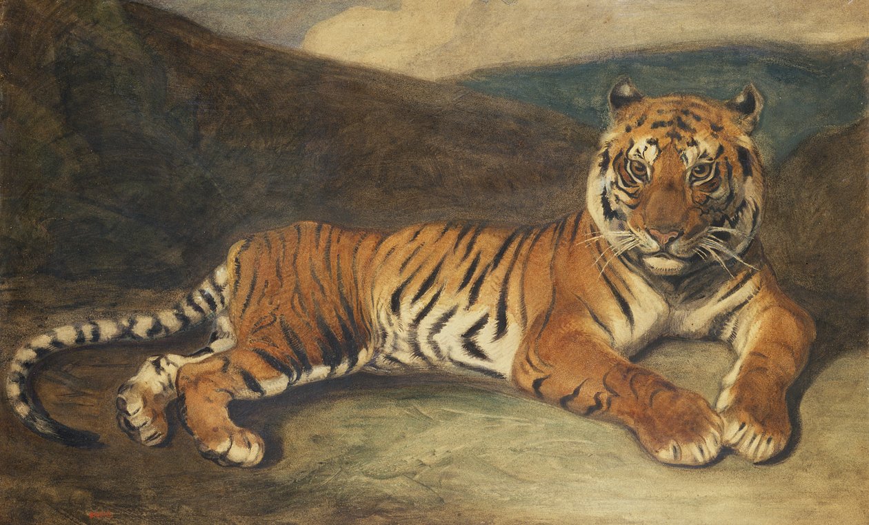 Tiger ležící (wc na papíře) od Antoine Louis Barye