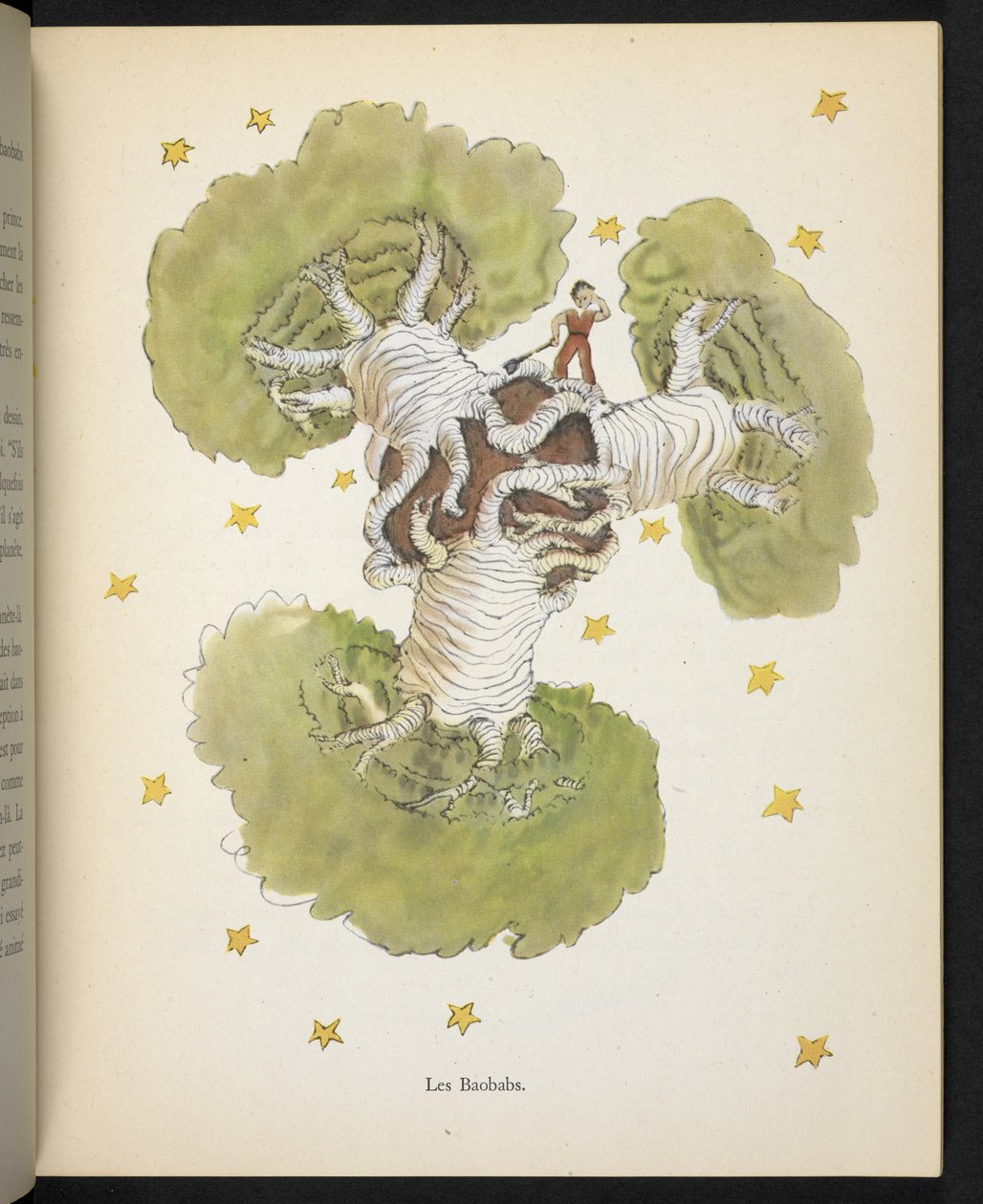 Baobaby, ilustrace z knihy Malý princ, Antoine de Saint-Exupéry od Antoine de Saint Exupery