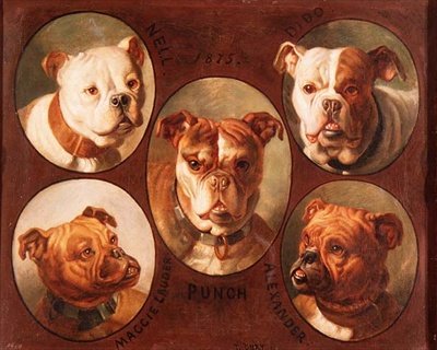Nell, Dido, Punch, Maggie lauder a Alexander, angličtí buldočci od Antoine or Tony Dury