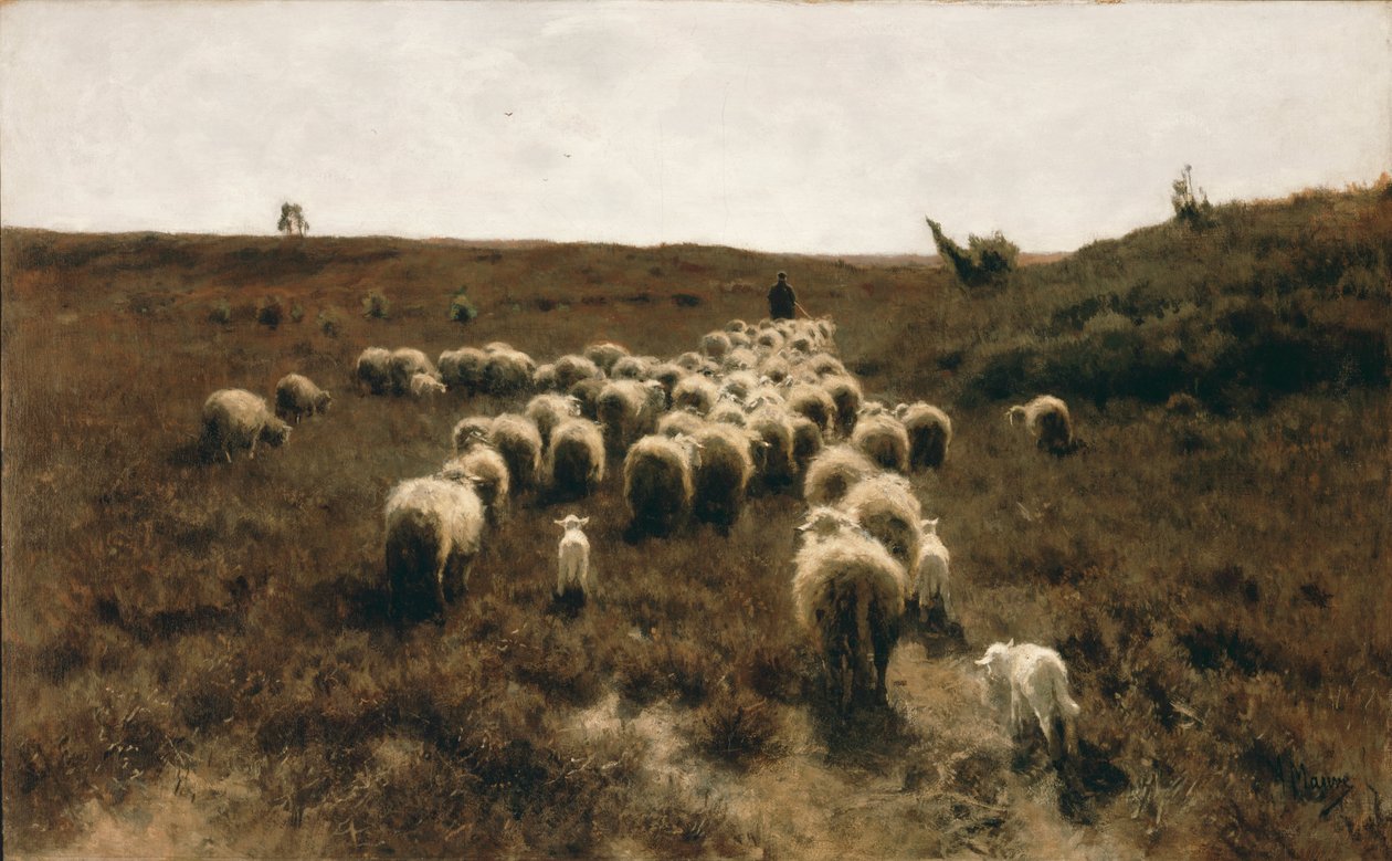 Návrat stáda, Larene od Anton Mauve