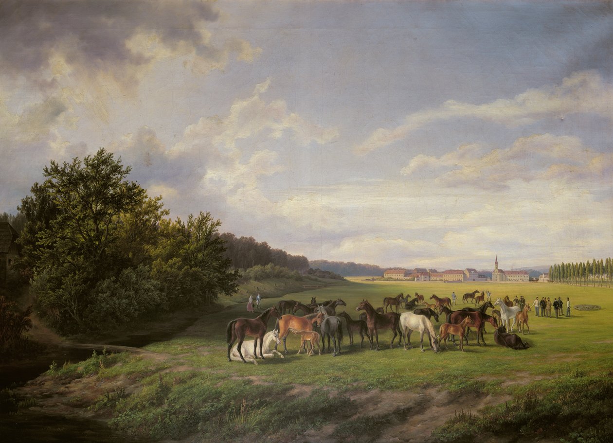 Pohled na kladrubský hřebčín v Čechách, 1850 od Anton Schiffer