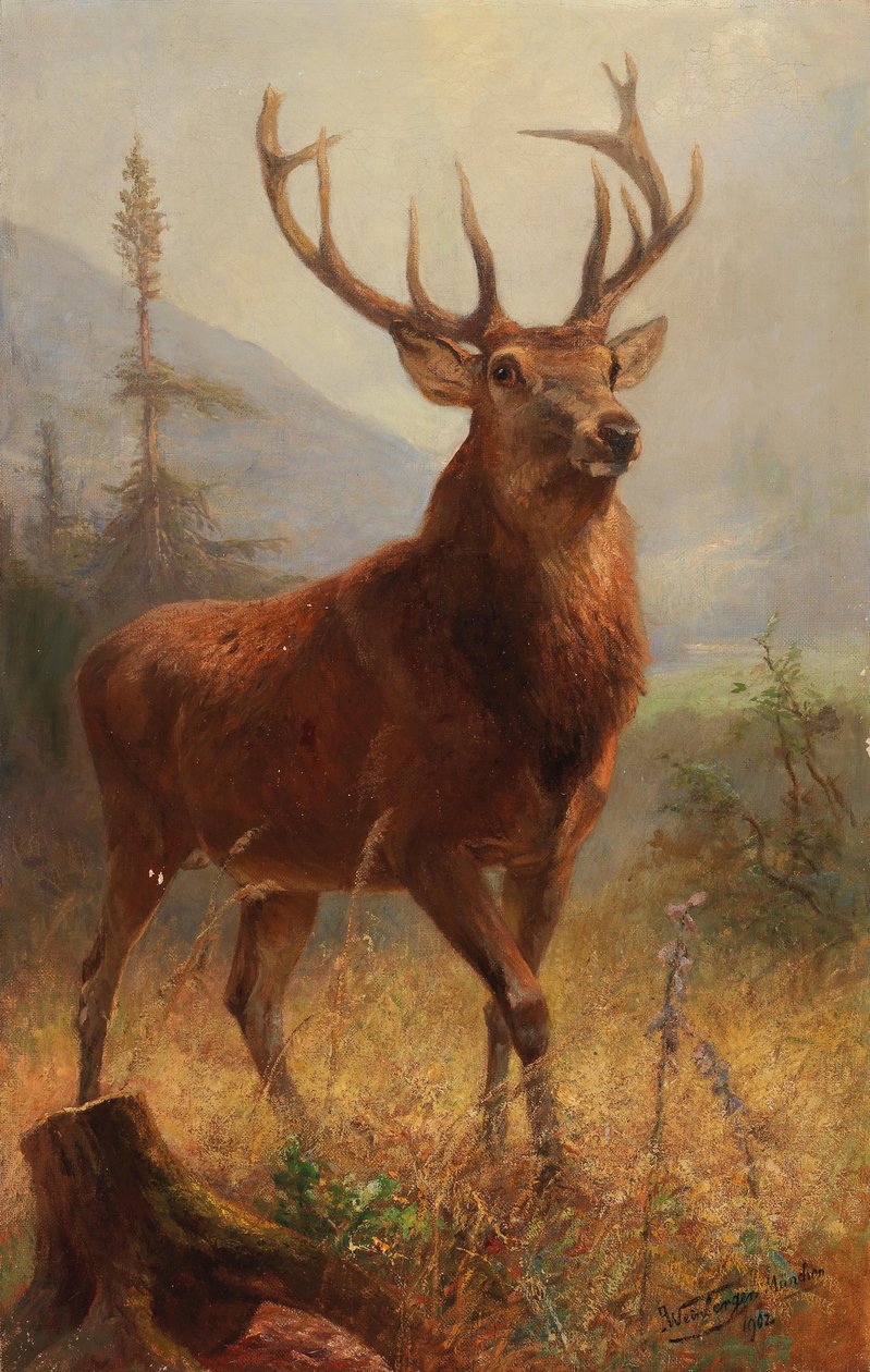 Trophy Stag v otevřené krajině od Anton Weinberger