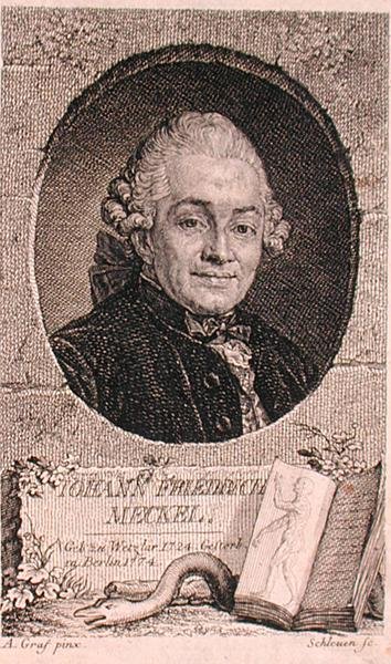 Portrét Johanna Friedricha Meckela (1724-76) vyrytý Johnem Schleuenem (fl. 1740-74) (rytina) od Anton (after) Graff