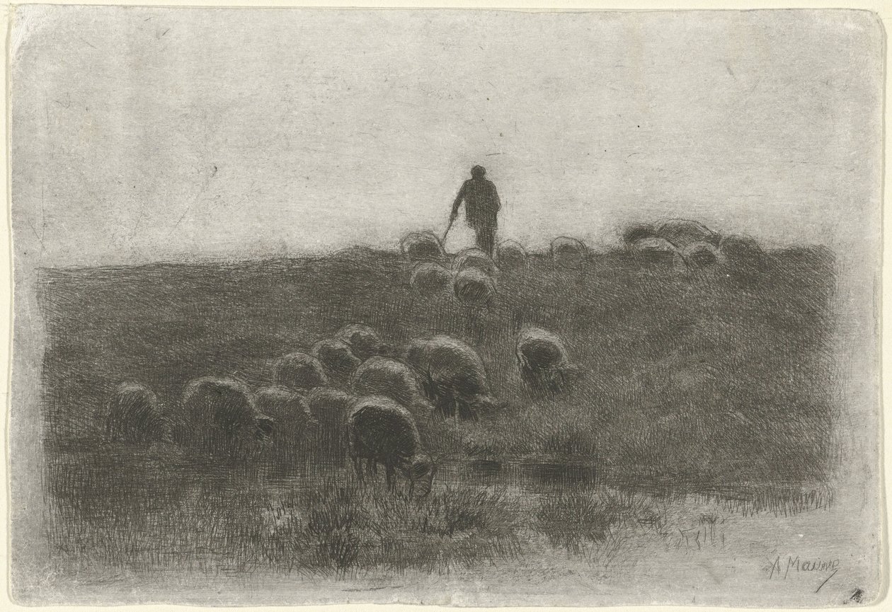Pastýř se stádem ovcí od Anton Mauve