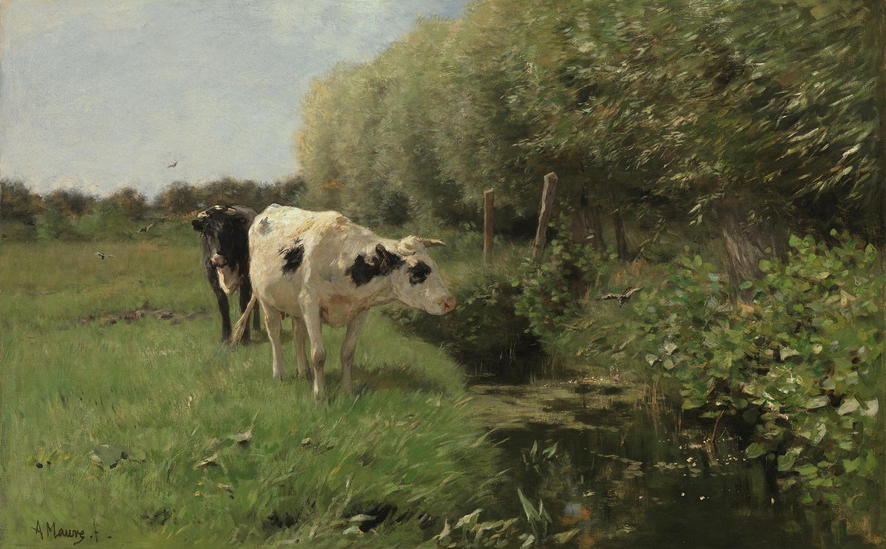 Krávy na pastvině od Anton Mauve