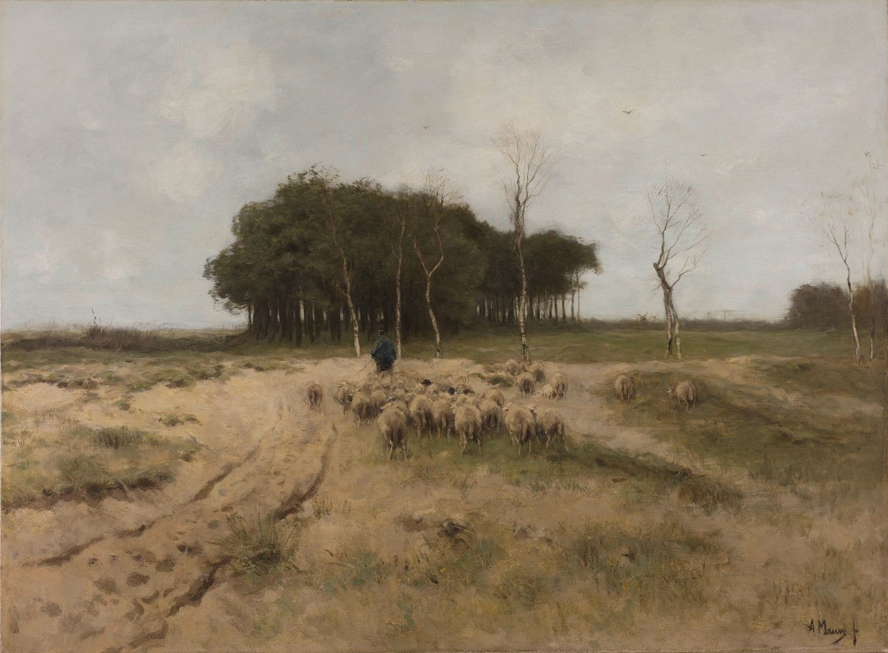 Na vřesovišti poblíž Larenu Heide v Larenu od Anton Mauve