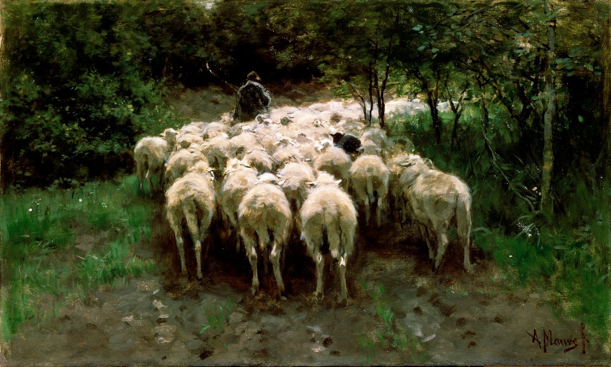 Ovce v lese, 19. století. od Anton Mauve