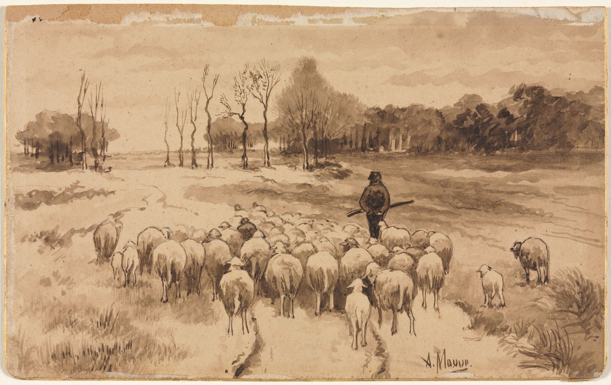Pastýř se svým stádem od Anton Mauve