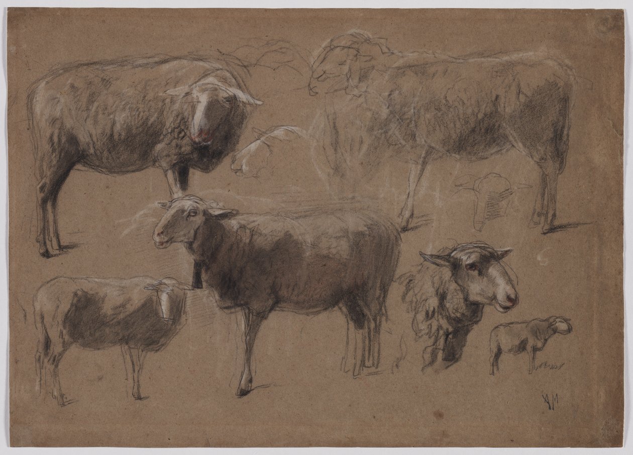 Studie ovcí, druhá polovina 1800. od Anton Mauve