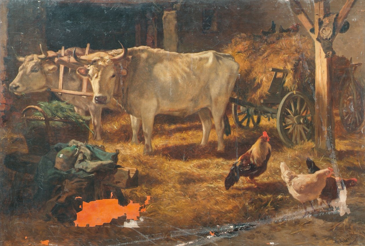 Voli ve stáji od Anton Schrodl