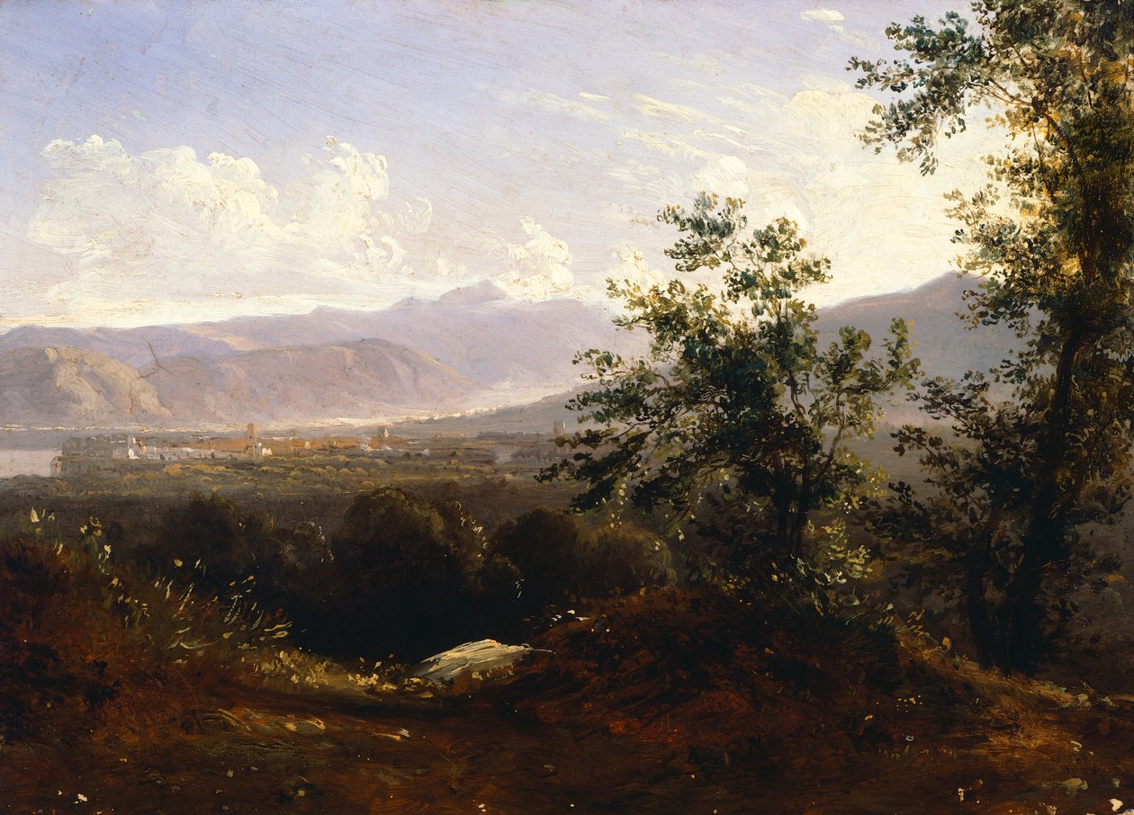 Pohled na Sorrento z Cape (olej na plátně) od Anton Sminck Pitloo