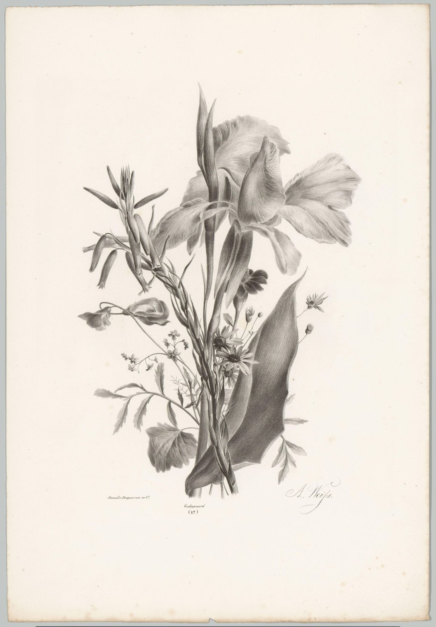 Diverse bloemen Bloem en Fruit Studien (...) 10e aflevering (series title)   1373600   cs       czech Successfully Translated  Original: Fire in the Port Translat: Fire in the Port 1276830 cs czech Successfully Translated Original: Musical Still Life Trans od Anton Weiss