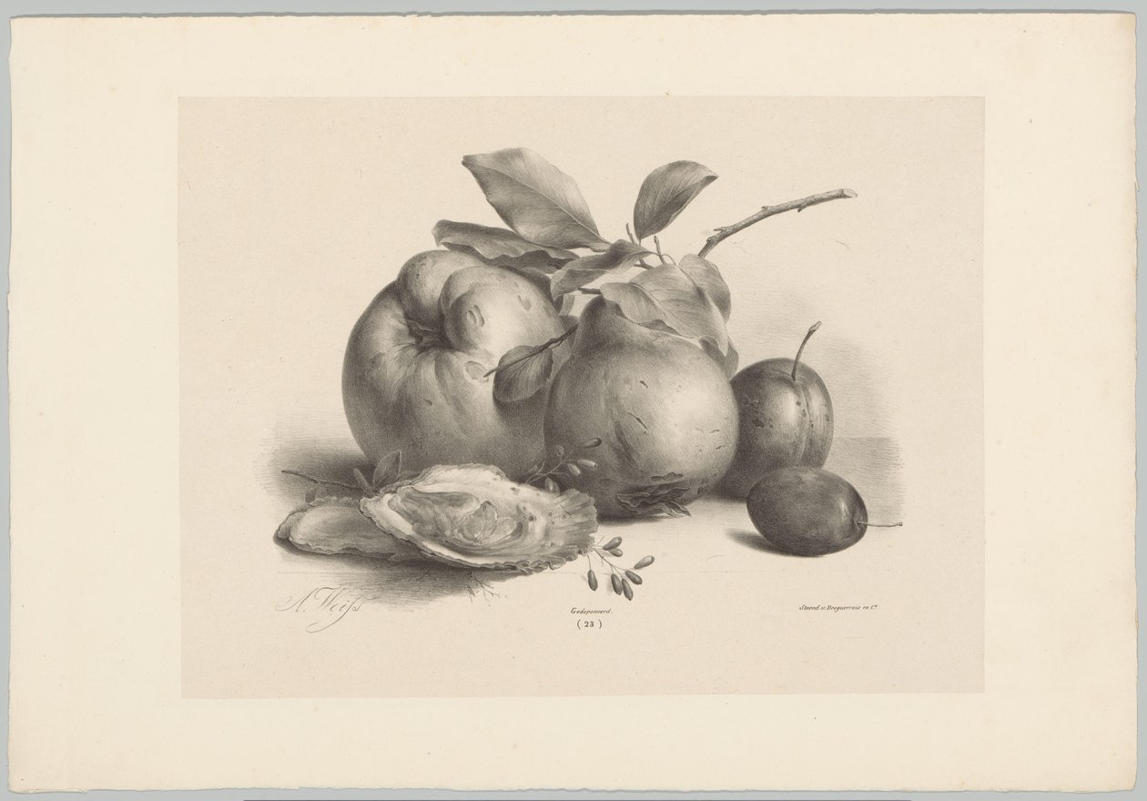Ovoce, švestky a ústřice Flower and Fruit Studies (...) 10. epizoda (název série) od Anton Weiss