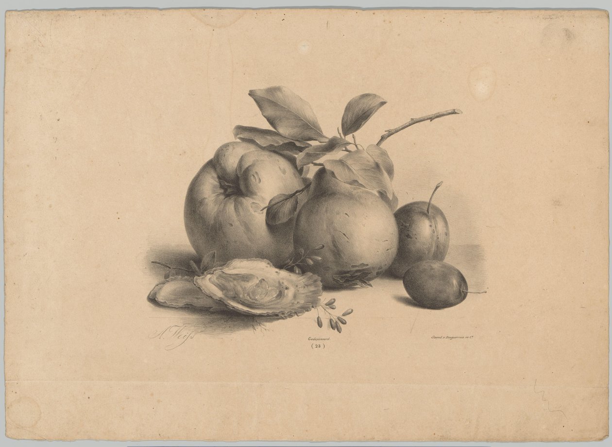 Ovoce, švestky a ústřice Flower and Fruit Studies (...) 10. epizoda (název série) od Anton Weiss