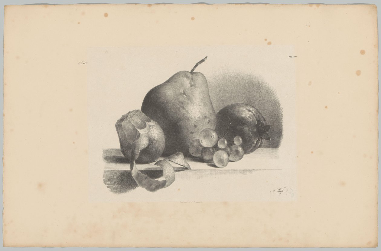Hruška, broskev, hroznové víno a oloupaný citron Flower and Fruit Studies (...) 3. epizoda (název série) od Anton Weiss