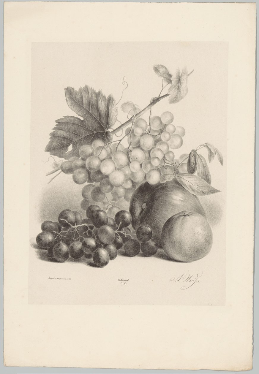 Červené a bílé hrozny a jablka Flower and Fruit Studies (...) 10. epizoda (název série) od Anton Weiss