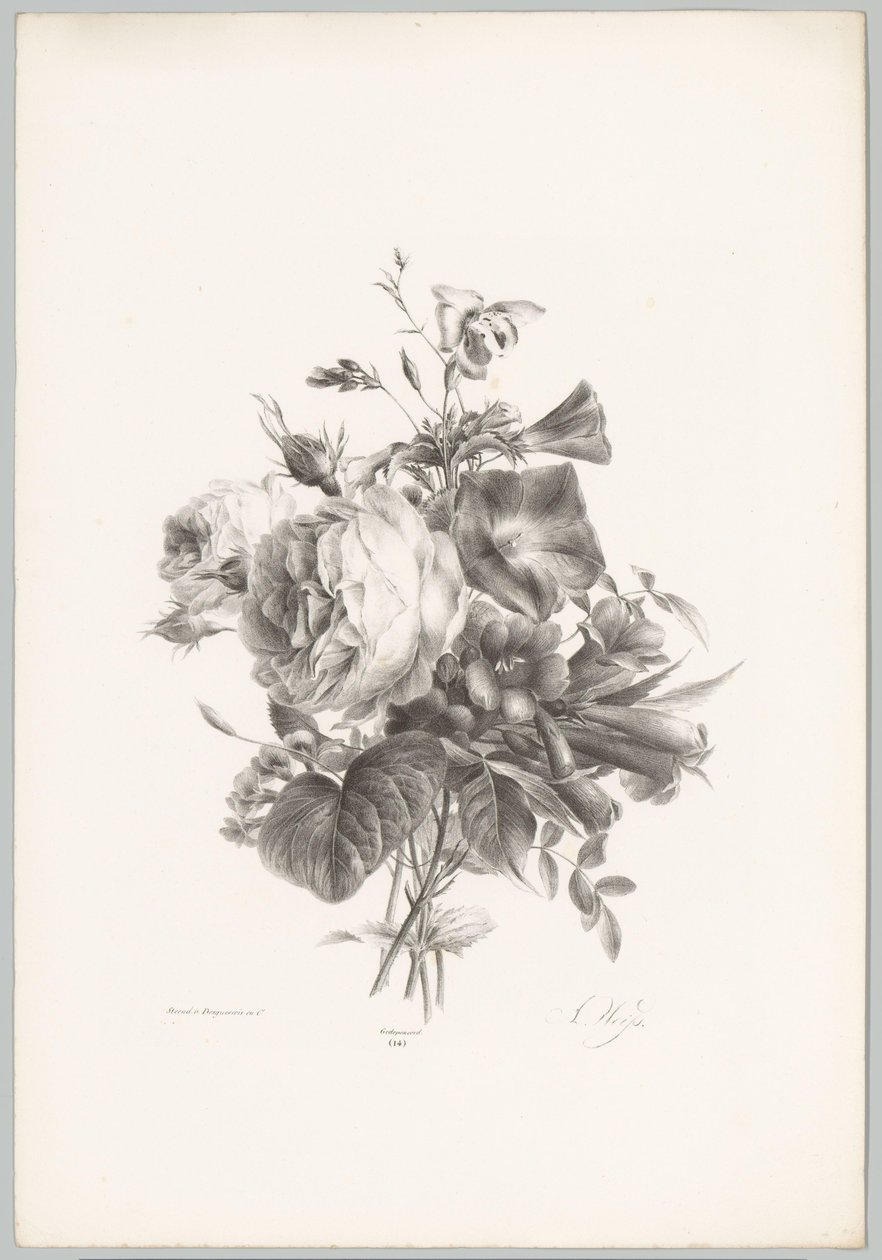 Růže a květiny ve tvaru kalicha Flower and Fruit Studies (...) 10. epizoda (název série) od Anton Weiss