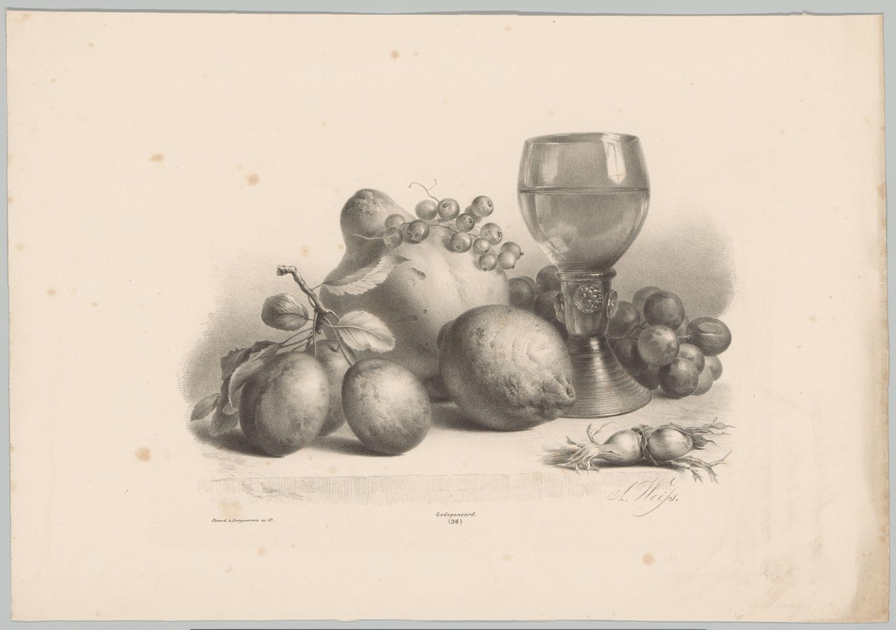 Zátiší se sklem, švestkami, citronem, hrozny a lískovými oříšky Flower and Fruit Studies (...) 10. epizoda (název série) od Anton Weiss