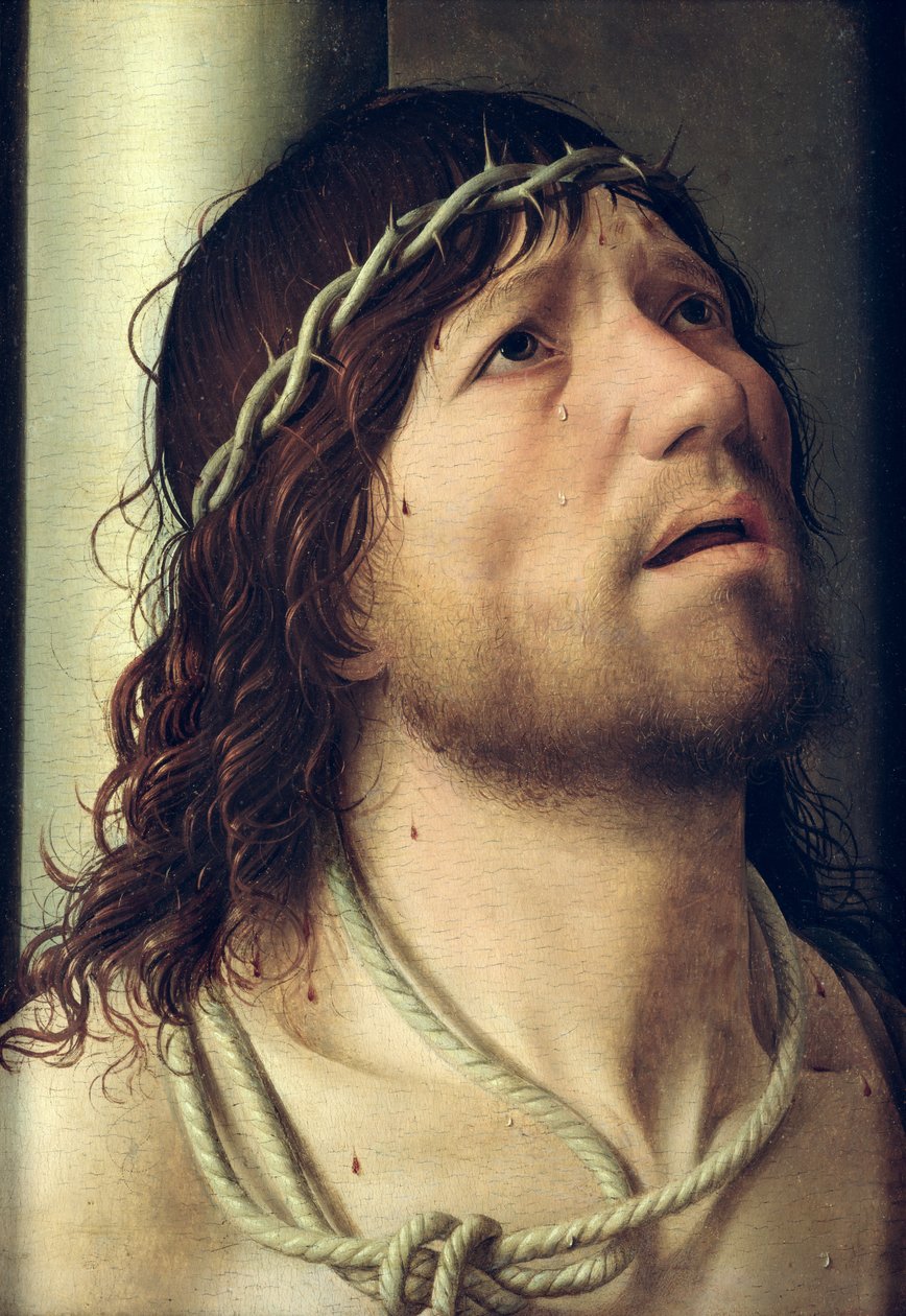 Kristus u sloupu, kolem 1475 (olej na panelu) (detail) od Antonello da Messina