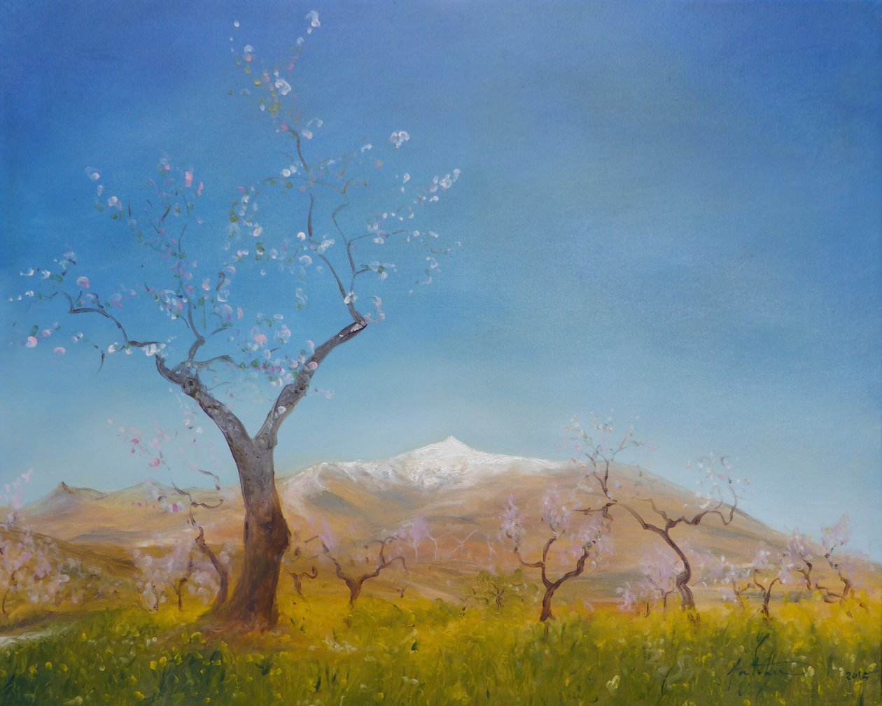 Mandlový květ se zasněženou horou Sierra Nevada, 2016 od Antonia Myatt