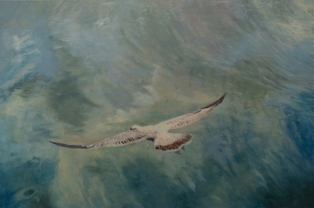 Roztažená křídla racka, 2012 (olej na plátně) od Antonia Myatt