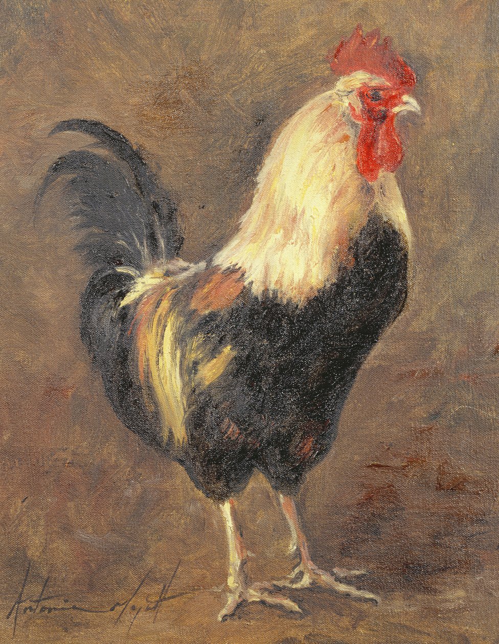 The Cockerel, 1999 od Antonia Myatt